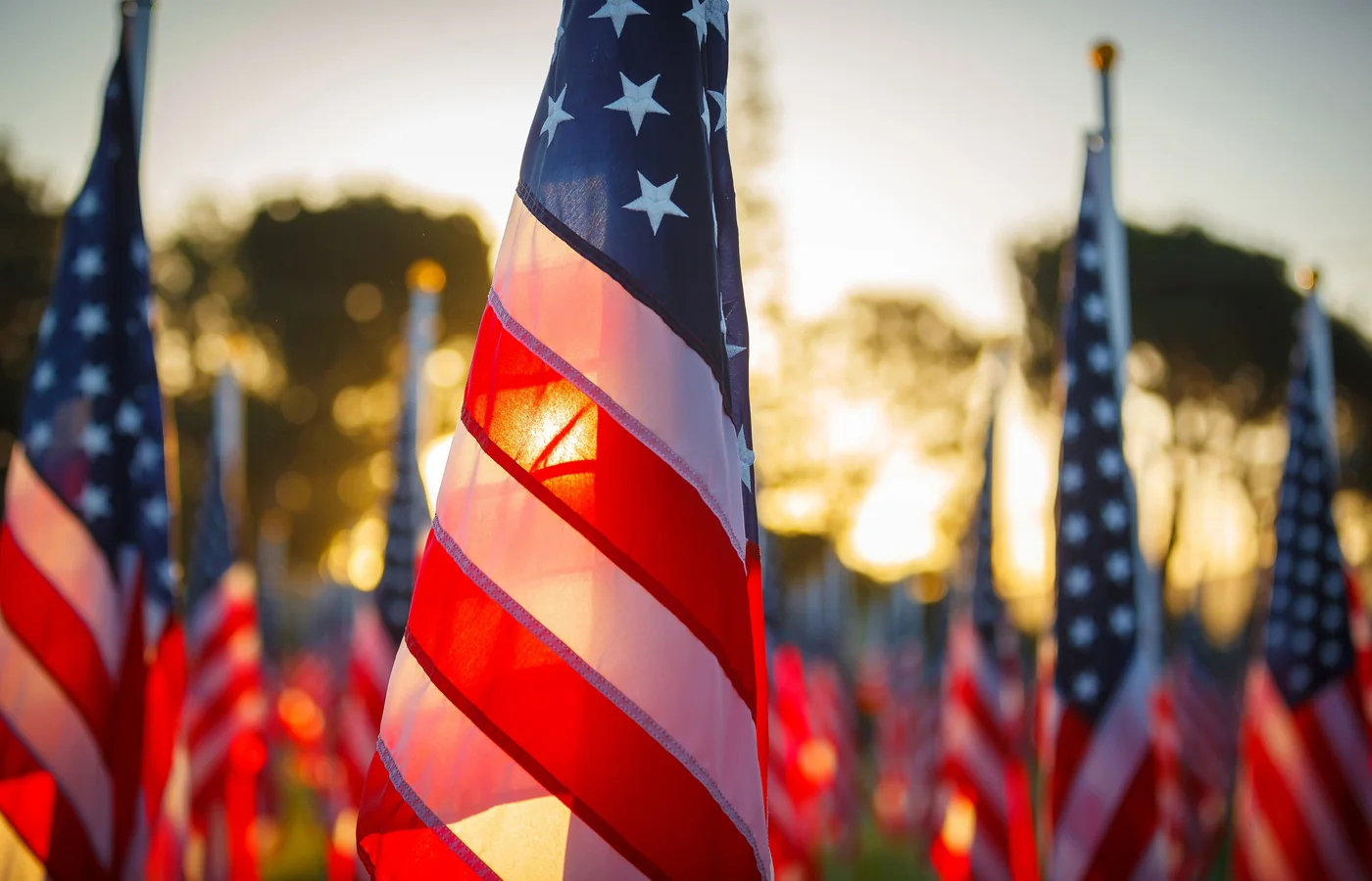 American flags
